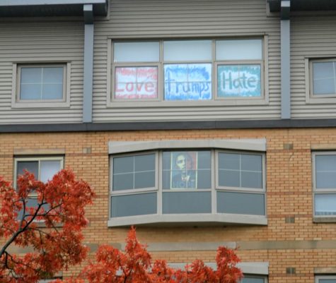 In response to the Trump flags, other students displayed their political views on their windows as well.