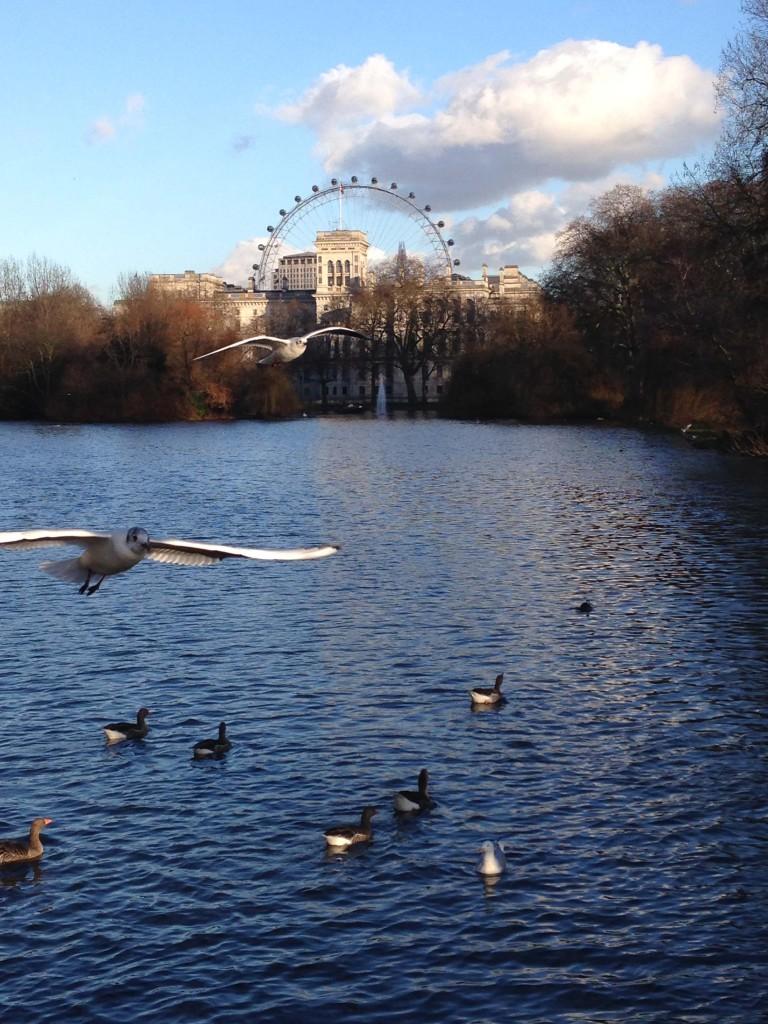 The London Eye with one of the huge ducks Kyle saw while visiting the city