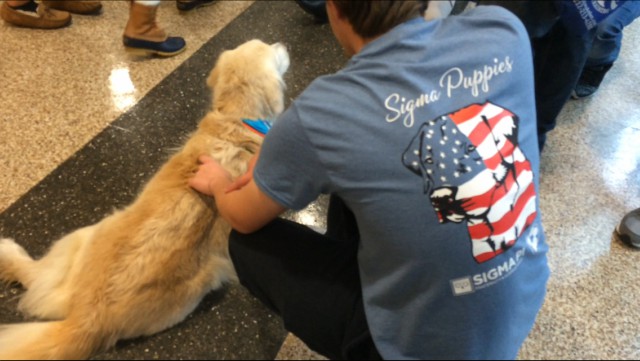 Sigma Pi member with one of the therapeutic dogs at the event on Oct. 27.