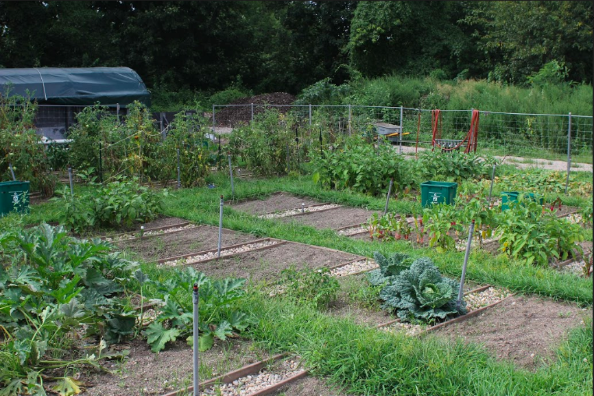 SJU’s Thriving Organic Garden
