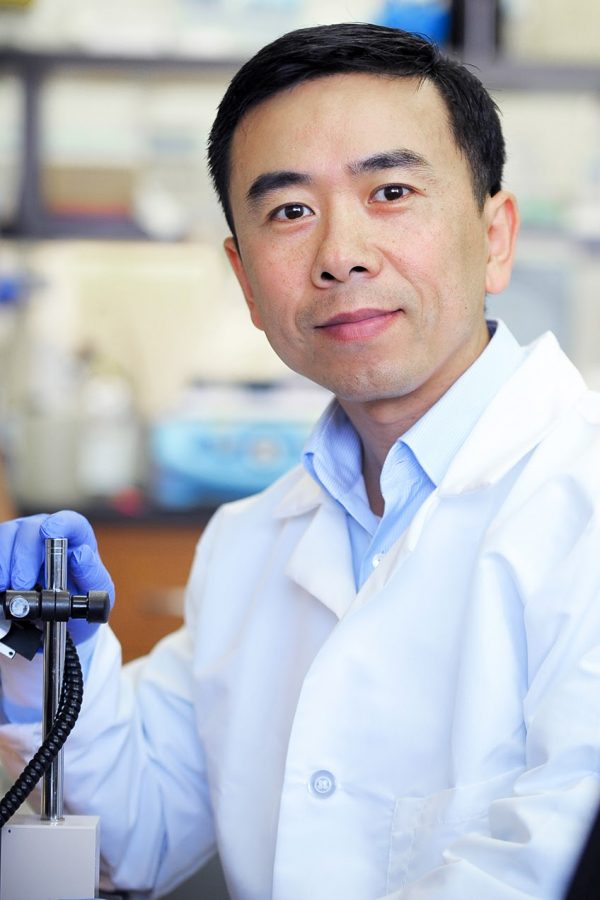 Professor Yong Yu, Ph.D., was recently awarded a $1.33 million NIH grant for Kidney Disease Research. PHOTO COURTESY / YONG YU, Ph.D. 